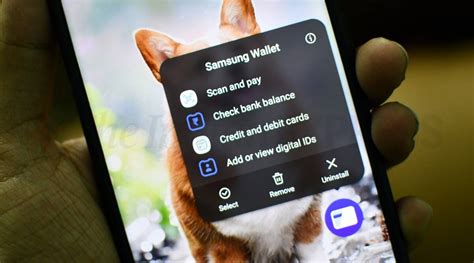 add samsung wallet to galaxy